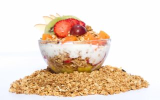 Protein probiotic gut health fat loss