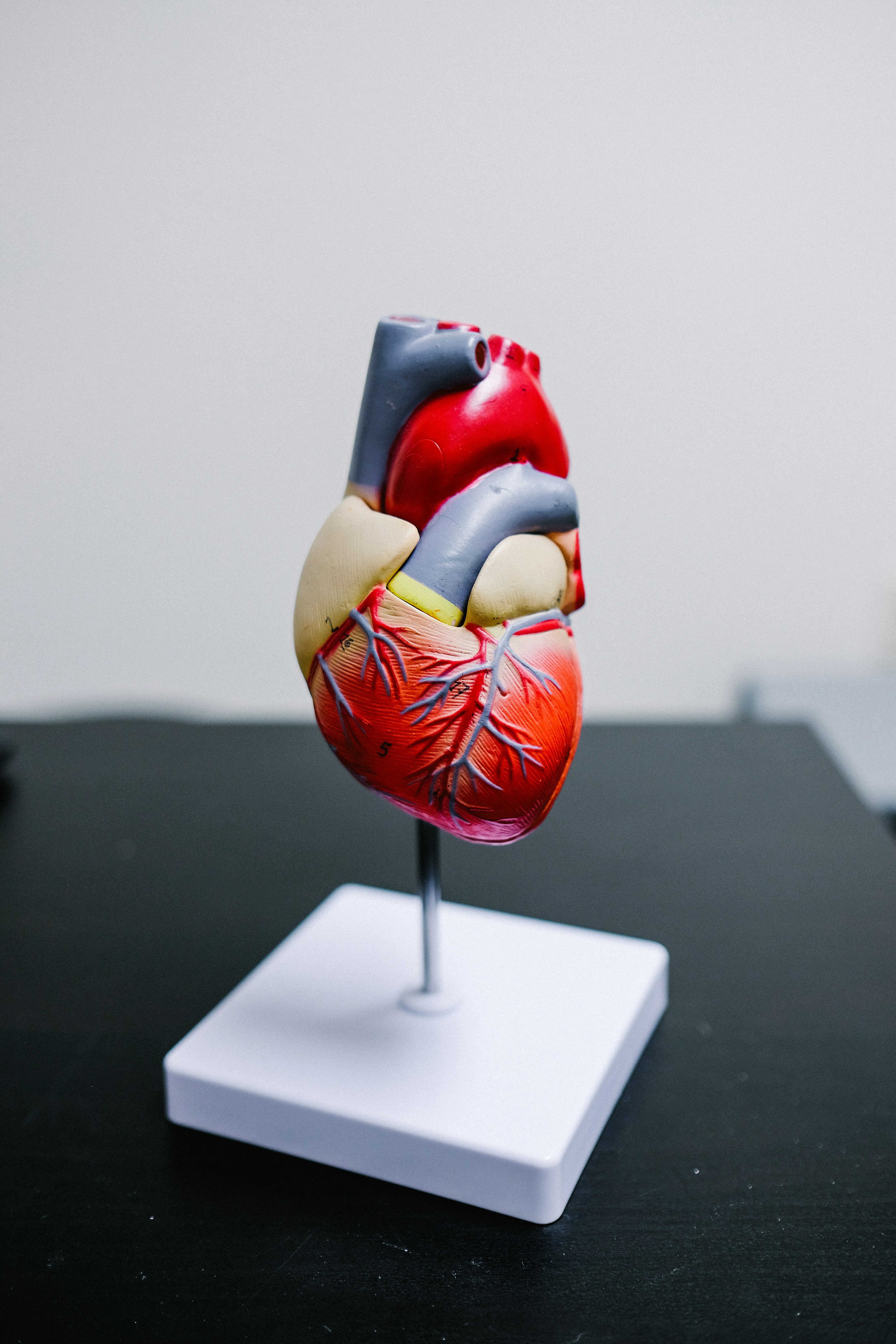 The Silent Threat: Understanding the Importance of Regular Blood Pressure Checks